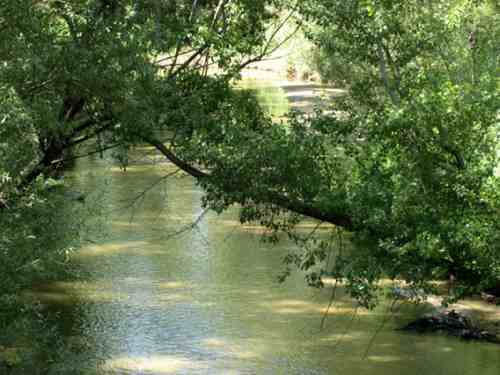 Madrid 14.jpg (20722 bytes)